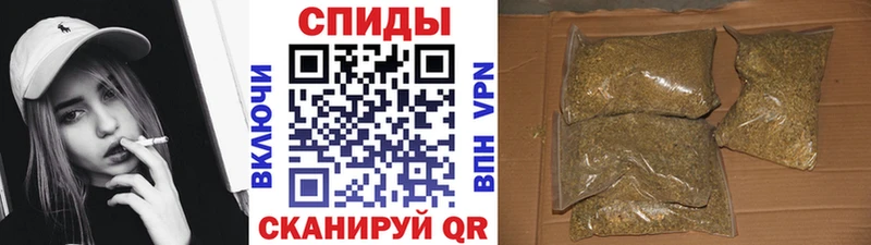 Бутират BDO  Купить где  Починок 