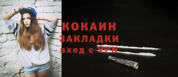 молекула духа Каменногорск