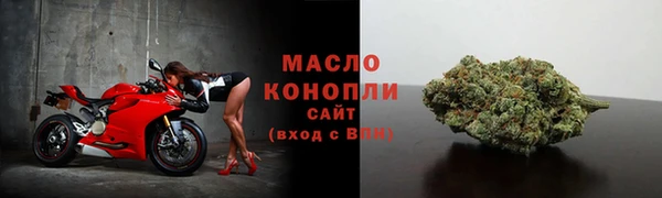 гидропоника Каменка