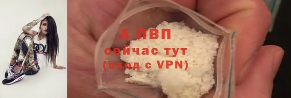молекула духа Каменногорск