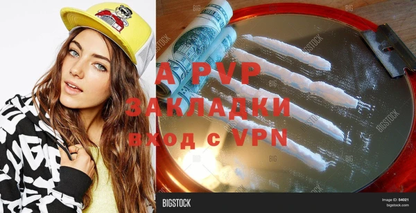 молекула духа Каменногорск