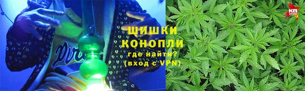 гидропоника Каменка