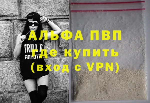 молекула духа Каменногорск